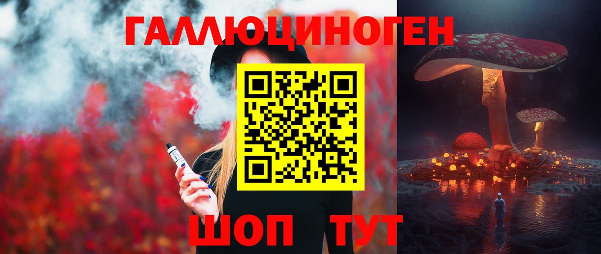 Псилоцибиновые грибы Psilocybe  Вход с VPN  Торжок 